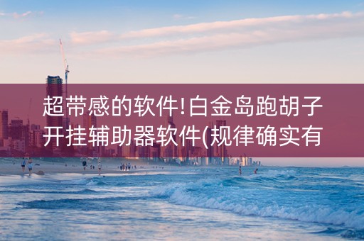 超带感的软件!白金岛跑胡子开挂辅助器软件(规律确实有挂)