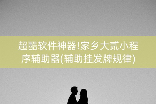 超酷软件神器!家乡大贰小程序辅助器(辅助挂发牌规律)