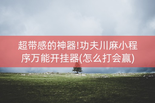 超带感的神器!功夫川麻小程序万能开挂器(怎么打会赢)