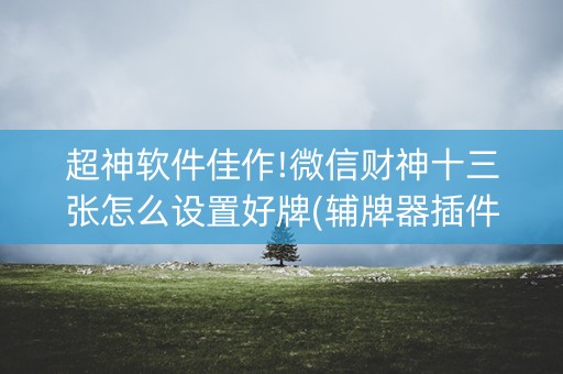 超神软件佳作!微信财神十三张怎么设置好牌(辅牌器插件购买)