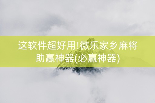 这软件超好用!微乐家乡麻将助赢神器(必赢神器)