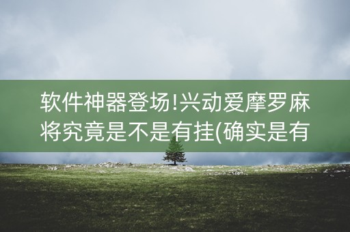 软件神器登场!兴动爱摩罗麻将究竟是不是有挂(确实是有挂)
