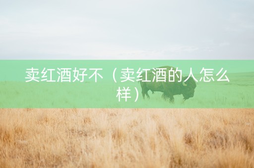 卖红酒好不（卖红酒的人怎么样）