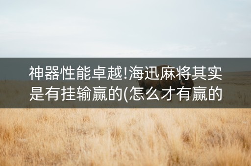 神器性能卓越!海迅麻将其实是有挂输赢的(怎么才有赢的几率)
