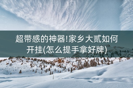 超带感的神器!家乡大贰如何开挂(怎么提手拿好牌)