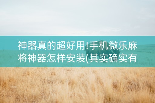 神器真的超好用!手机微乐麻将神器怎样安装(其实确实有挂)