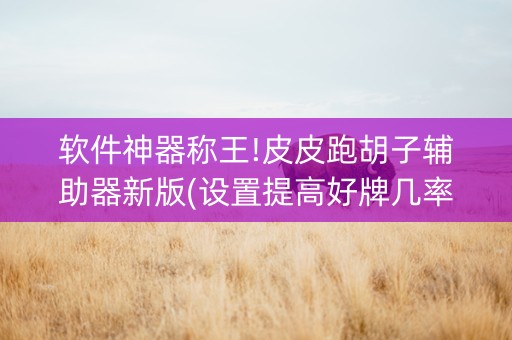 软件神器称王!皮皮跑胡子辅助器新版(设置提高好牌几率)