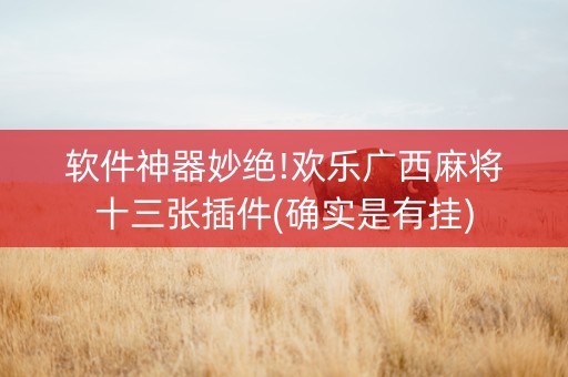 软件神器妙绝!欢乐广西麻将十三张插件(确实是有挂)