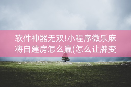 软件神器无双!小程序微乐麻将自建房怎么赢(怎么让牌变好)
