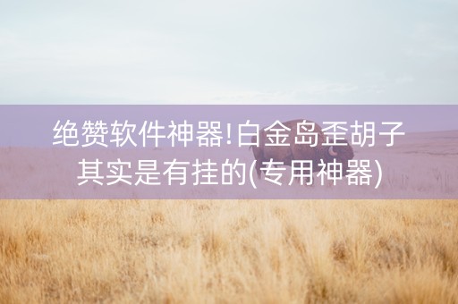 绝赞软件神器!白金岛歪胡子其实是有挂的(专用神器)