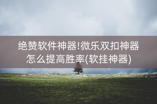 绝赞软件神器!微乐双扣神器怎么提高胜率(软挂神器)