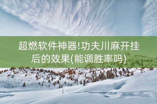 超燃软件神器!功夫川麻开挂后的效果(能调胜率吗)