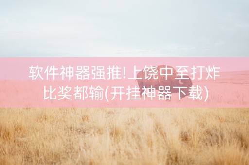 软件神器强推!上饶中至打炸比奖都输(开挂神器下载)