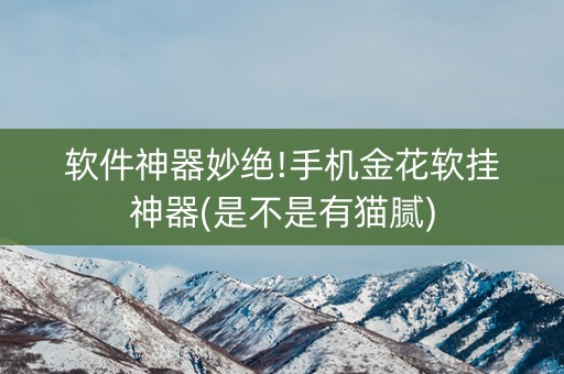 软件神器妙绝!手机金花软挂神器(是不是有猫腻)