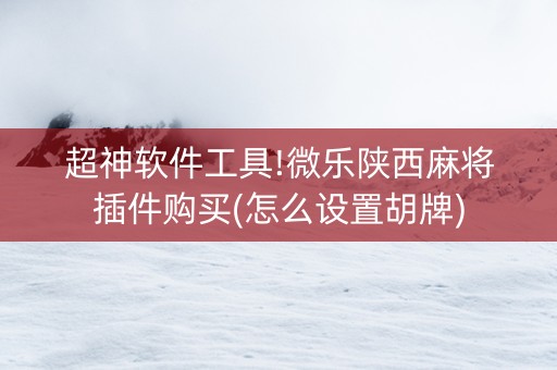 超神软件工具!微乐陕西麻将插件购买(怎么设置胡牌)