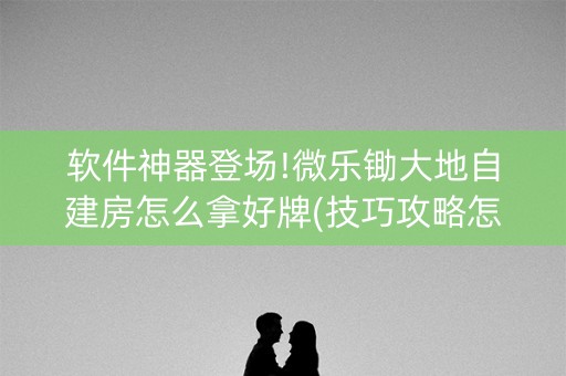 软件神器登场!微乐锄大地自建房怎么拿好牌(技巧攻略怎样拿好牌)