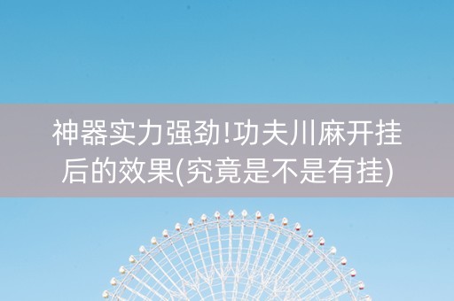 神器实力强劲!功夫川麻开挂后的效果(究竟是不是有挂)