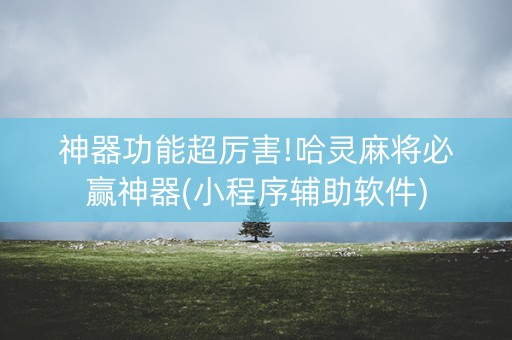 神器功能超厉害!哈灵麻将必赢神器(小程序辅助软件)