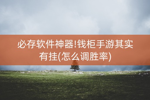 必存软件神器!钱柜手游其实有挂(怎么调胜率)
