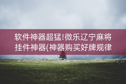 软件神器超猛!微乐辽宁麻将挂件神器(神器购买好牌规律)