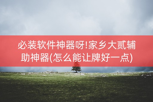 必装软件神器呀!家乡大贰辅助神器(怎么能让牌好一点)