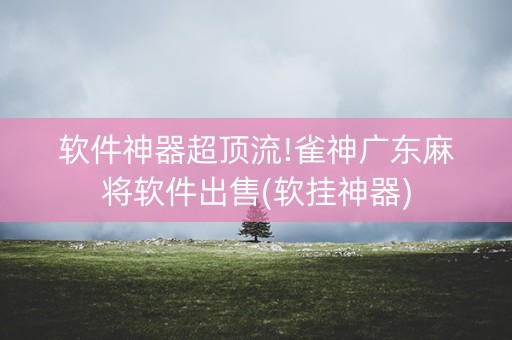 软件神器超顶流!雀神广东麻将软件出售(软挂神器)