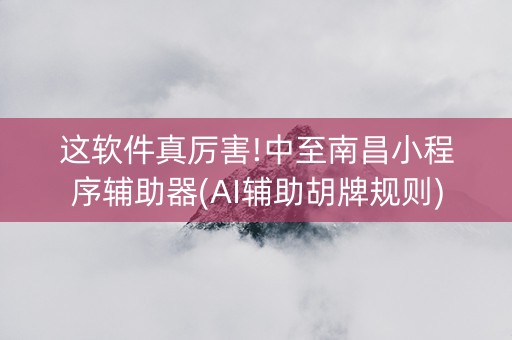 这软件真厉害!中至南昌小程序辅助器(AI辅助胡牌规则)