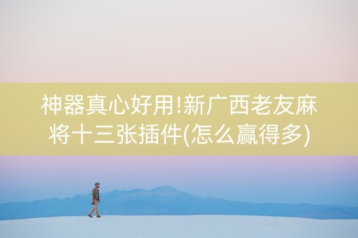 神器真心好用!新广西老友麻将十三张插件(怎么赢得多)