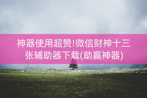 神器使用超赞!微信财神十三张辅助器下载(助赢神器)