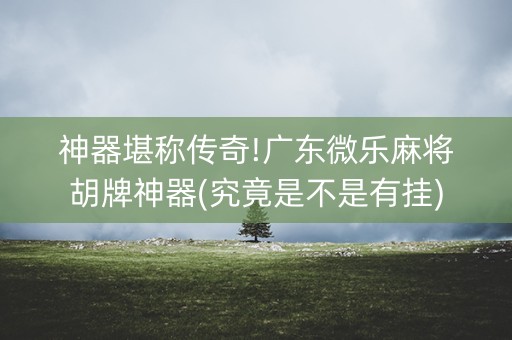 神器堪称传奇!广东微乐麻将胡牌神器(究竟是不是有挂)