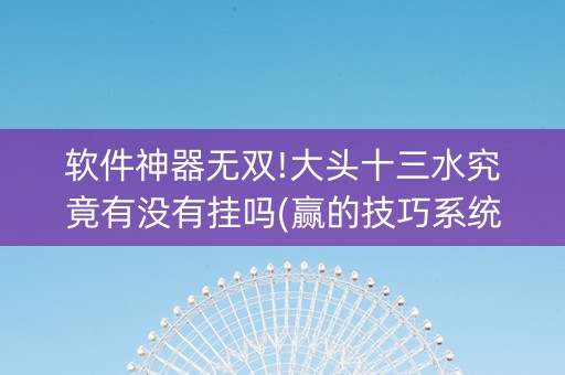 软件神器无双!大头十三水究竟有没有挂吗(赢的技巧系统规律)