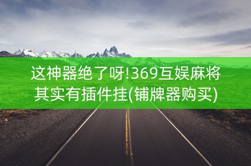 这神器绝了呀!369互娱麻将其实有插件挂(铺牌器购买)
