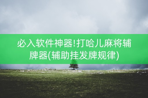 必入软件神器!打哈儿麻将辅牌器(辅助挂发牌规律)