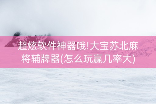 超炫软件神器哦!大宝苏北麻将辅牌器(怎么玩赢几率大)