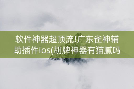 软件神器超顶流!广东雀神辅助插件ios(胡牌神器有猫腻吗)