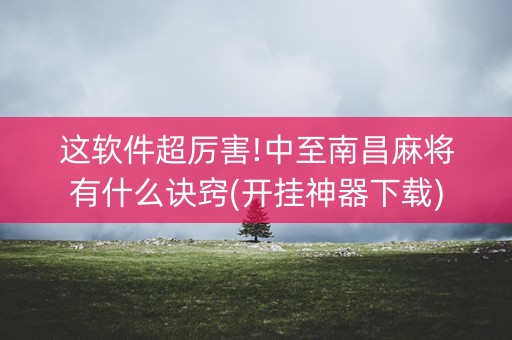 这软件超厉害!中至南昌麻将有什么诀窍(开挂神器下载)