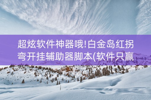 超炫软件神器哦!白金岛红拐弯开挂辅助器脚本(软件只赢不输)
