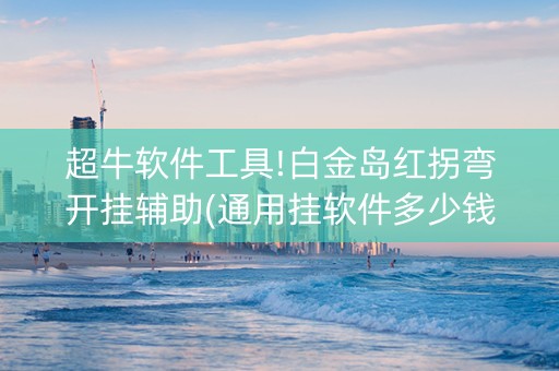 超牛软件工具!白金岛红拐弯开挂辅助(通用挂软件多少钱)
