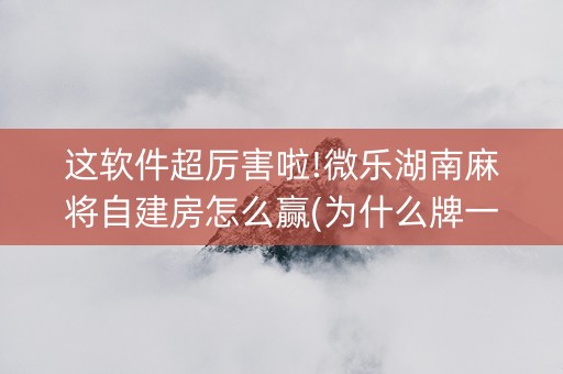 这软件超厉害啦!微乐湖南麻将自建房怎么赢(为什么牌一直很差)
