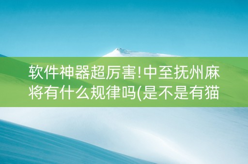 软件神器超厉害!中至抚州麻将有什么规律吗(是不是有猫腻)