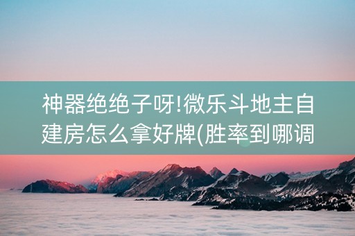 神器绝绝子呀!微乐斗地主自建房怎么拿好牌(胜率到哪调)