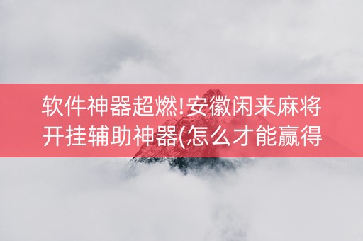 软件神器超燃!安徽闲来麻将开挂辅助神器(怎么才能赢得多)