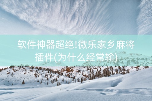 软件神器超绝!微乐家乡麻将插件(为什么经常输)