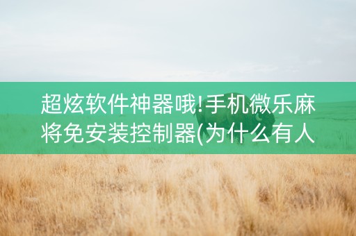 超炫软件神器哦!手机微乐麻将免安装控制器(为什么有人一直赢)