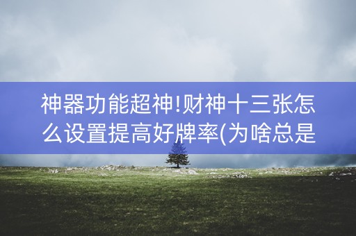 神器功能超神!财神十三张怎么设置提高好牌率(为啥总是输)