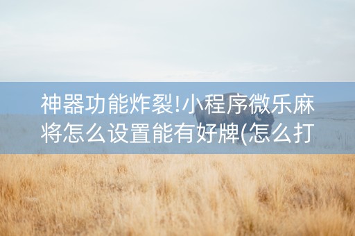 神器功能炸裂!小程序微乐麻将怎么设置能有好牌(怎么打系统才能给好牌)