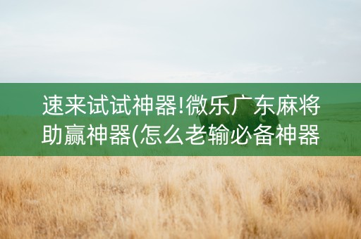 速来试试神器!微乐广东麻将助赢神器(怎么老输必备神器)