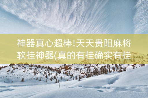 神器真心超棒!天天贵阳麻将软挂神器(真的有挂确实有挂)
