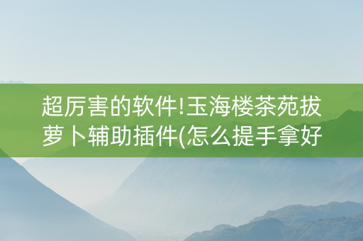 超厉害的软件!玉海楼茶苑拔萝卜辅助插件(怎么提手拿好牌)