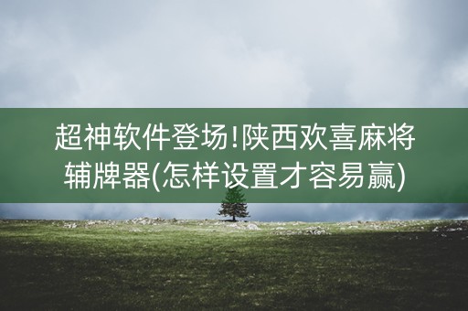 超神软件登场!陕西欢喜麻将辅牌器(怎样设置才容易赢)